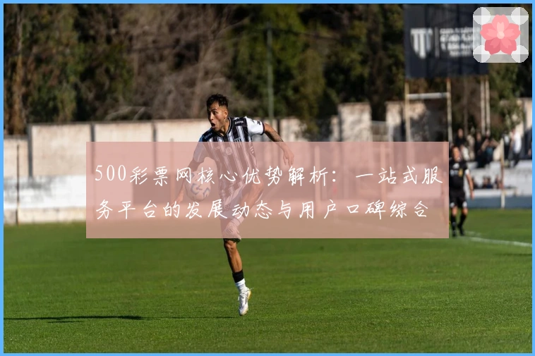 500彩票网核心优势解析：一站式服务平台的发展动态与用户口碑综合评测